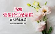马塞壹法长生纪念馆丧礼鲜花递送