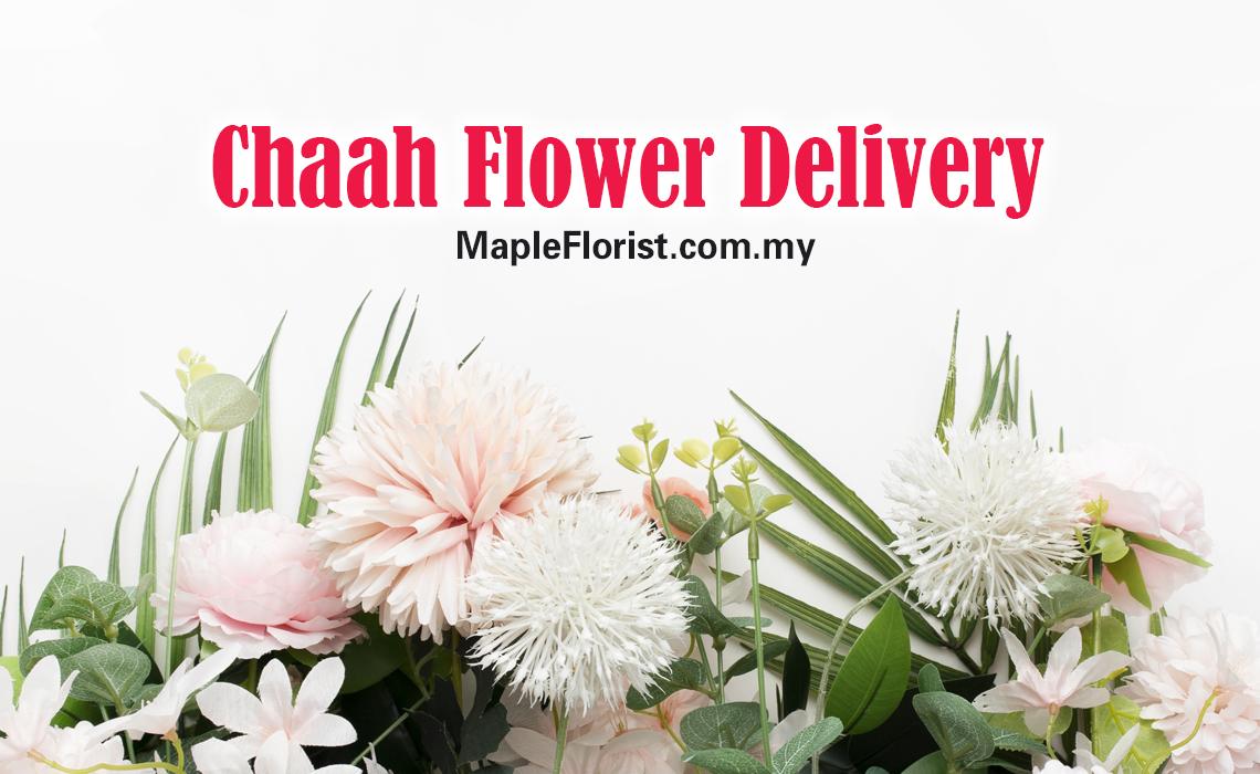 Chaah Florist Delivery | Same Day Condolence Flowers Chaah Florist Delivery | Same Day Condolence Flowers