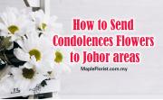 More Detail to Send Condolences Flowers to Johor Areas