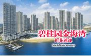 碧桂园金海湾鲜花速递：一场鲜花体验
