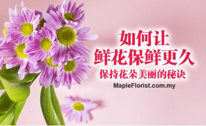 如何让鲜花保鲜更久:保持花朵美丽的秘诀 如何让鲜花保鲜更久:保持花朵美丽的秘诀