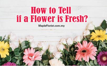 How to Tell if a Flower is Fresh?