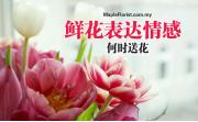 鲜花表达情感：何时送花
