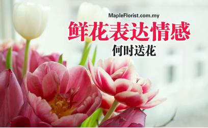 鲜花表达情感:何时送花 鲜花表达情感:何时送花