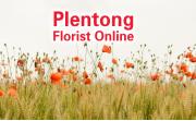 Plentong Florist Online