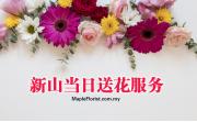 新山当日送花服务