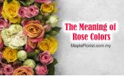 The Meaning of Rose Colors: A Comprehensive Guide