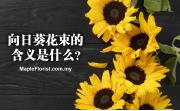 向日葵花束的含义是什么