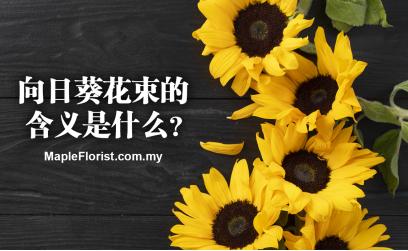 向日葵花束的含义是什么 向日葵花束的含义是什么