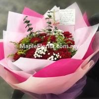 12 carnations bouquet