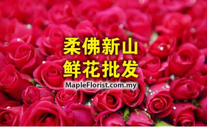 柔佛新山鲜花批发 | 鲜花供应商 柔佛新山鲜花批发 | 鲜花供应商