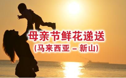 母亲节花束递送 - 新山枫叶花店 母亲节花束递送 - 新山枫叶花店