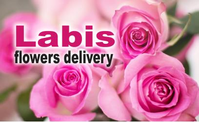 Labis Florist Online