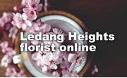 Ledang Heights Online Florist | Same Day Flowers Delivery