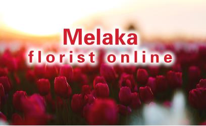 Melaka Florist Online