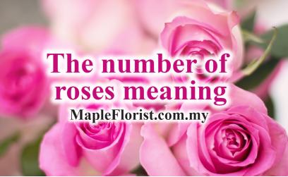 The number of roses meaning