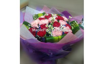 20 carnations bouquet 20 carnations bouquet