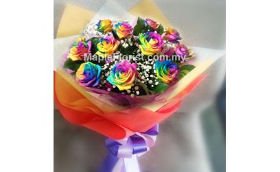 Rainbow Surprise Rainbow Surprise